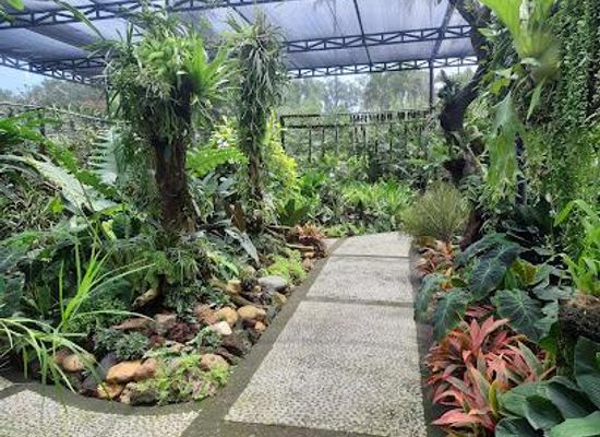 indonesia/ubud/attraction/duta-orchid-garden