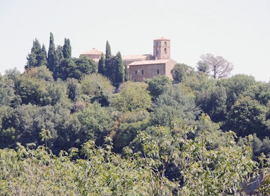 italy/maremma/attraction/cattedrale-di-san-pietro