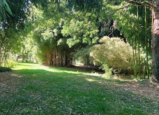 france/poitou-charentes/attraction/la-bambouseraie-joan-brisson
