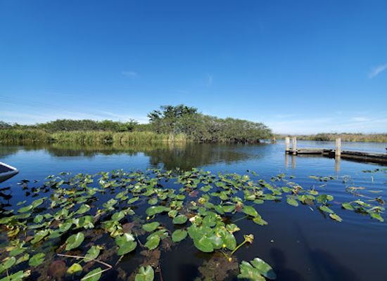 florida/everglades-national-park/attraction/everglades-holiday-park-airboat-tours-and-rides