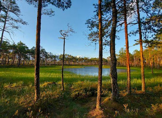 estonia/jarvamaa/attraction/vaatsa-nature-reserve-hiking-trail