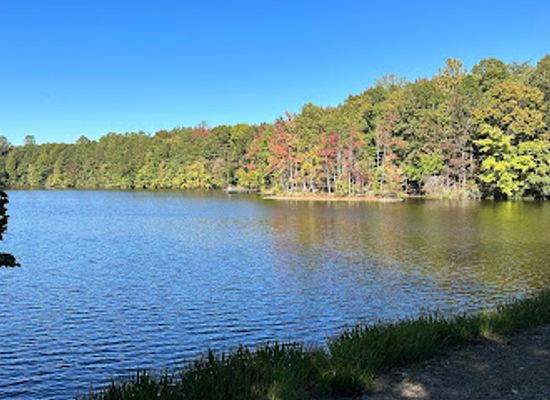 alabama/monte-sano-state-park/attraction/madison-county-nature-trail
