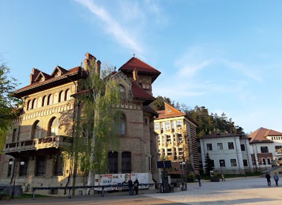 romania/neamt/attraction/art-museum