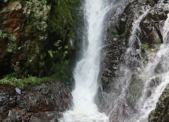 japan/settsu/attraction/ishizumi-falls