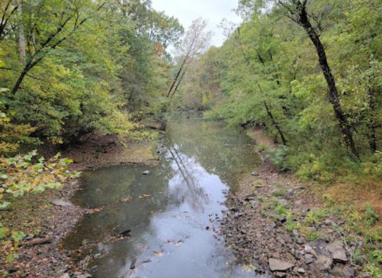 illinois/ferne-clyffe-state-park/attraction/heron-pond-little-black-slough-nature-preserve
