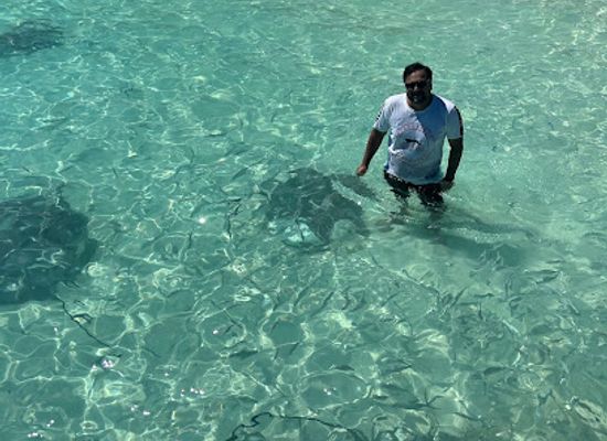 maldives/alimatha-island/attraction/fulidhoo-shark-point