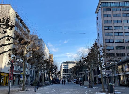 germany/frankfurt/attraction/liegende