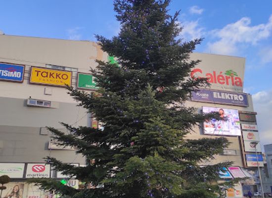 slovakia/kosice/attraction/namestie-pred-oc-galeria
