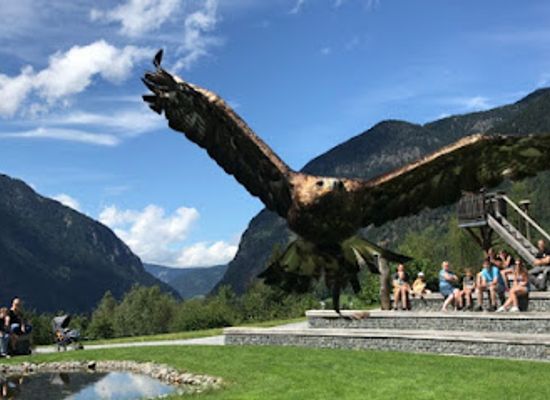 austria/otztal/attraction/greifvogelpark-umhausen