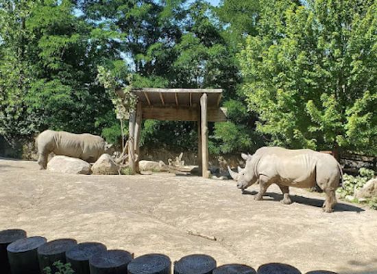 pennsylvania/erie/attraction/erie-zoo