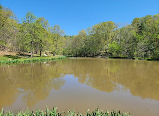 illinois/great-river-road/attraction/the-mccully-heritage-project