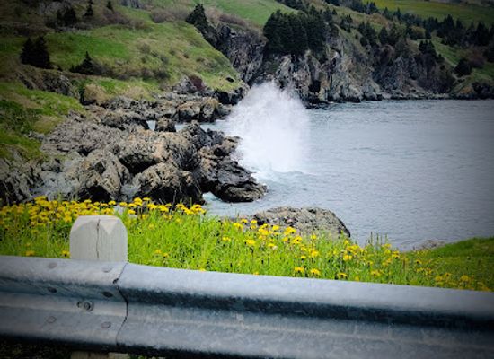 canada/avalon-peninsula/attraction/torbay-beach
