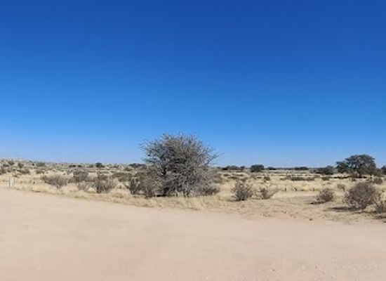south-africa/kgalagadi-transfrontier-park/attraction/lijersdraai-picnic-site-kgalagadi-transfrontier-park