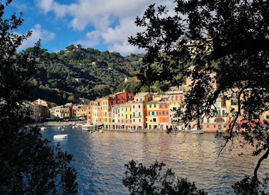 italy/portofino/attraction/bluezone-srl