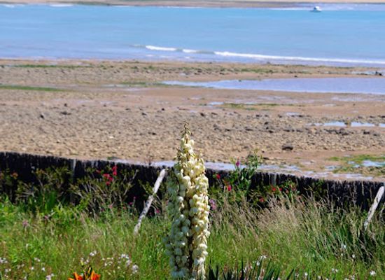 france/vendée-coast/attraction/house-of-georges-clemenceau
