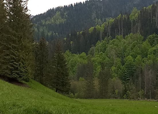 poland/tatra-mountains/attraction/cudakowa-polana