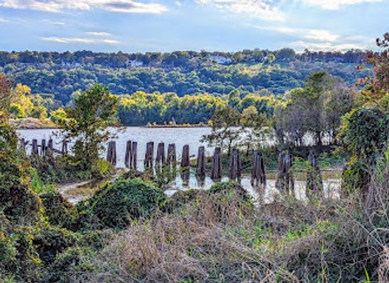 arkansas/central-arkansas/attraction/campbell-lake-park