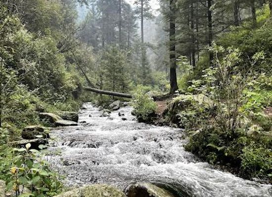 mexico/mexico-city/attraction/parque-nacional-los-dinamos