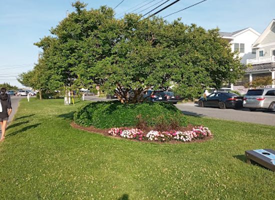 delaware/delaware-seashore-state-park/attraction/bethany-beach-boardwalk