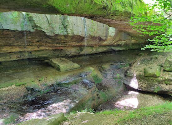 ohio/hocking-hills/attraction/hocking-hills-canopy-tours