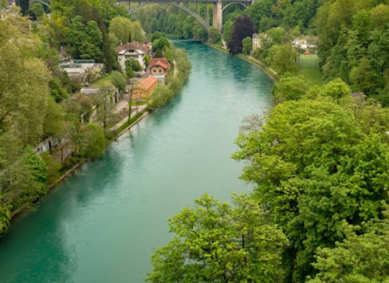 switzerland/bern/attraction/universitat-bern-botanical-garden