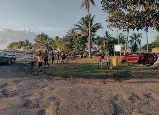 fiji/suva/attraction/apted-park