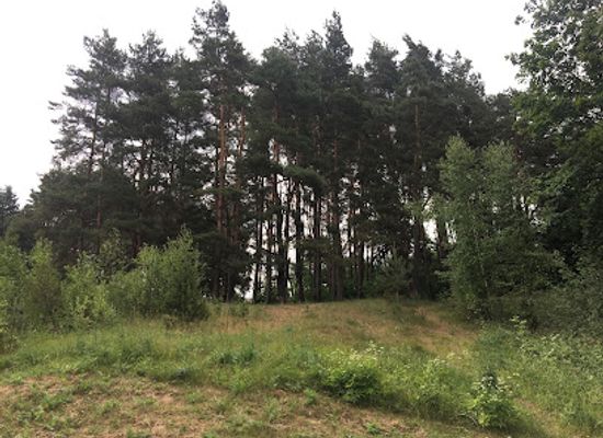 lithuania/utena/attraction/smelynes-parkas