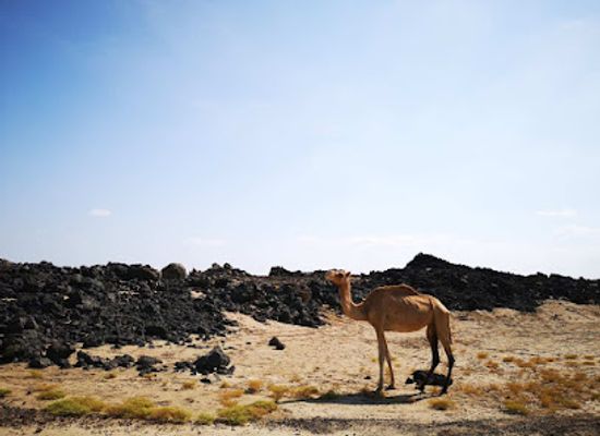 ethiopia/danakil-depression/attraction/erta-ale-vulcano-base-camp
