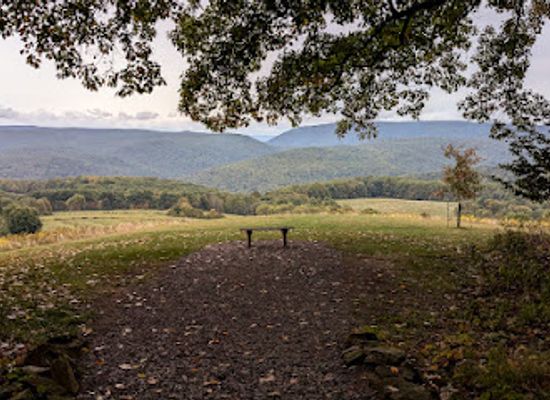 kentucky/knobs-region/attraction/frank-lloyd-wright-s-kentuck-knob