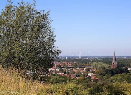 belgium/limburg/attraction/mijnterril-beringen