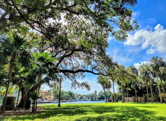 florida/gold-coast/attraction/colee-hammock-park