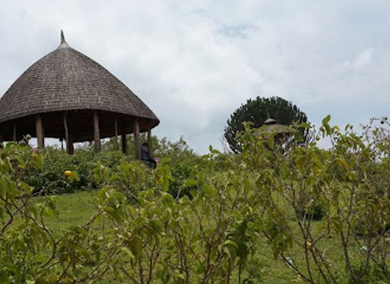 ethiopia/wollo/attraction/amora-gedel-park
