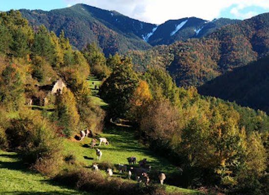 spain/aragon/attraction/bosque-de-la-pardina-del-senor