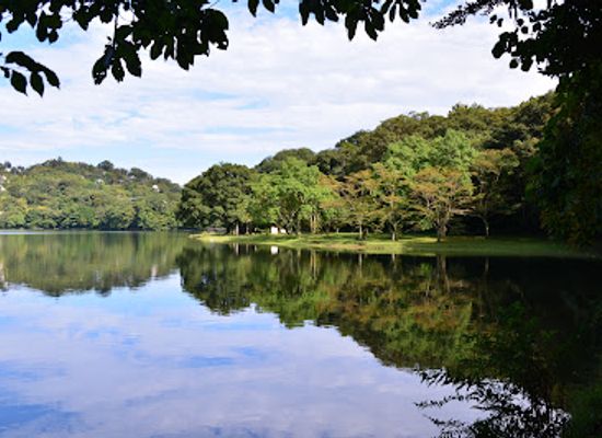 japan/izu/attraction/lake-ippeki