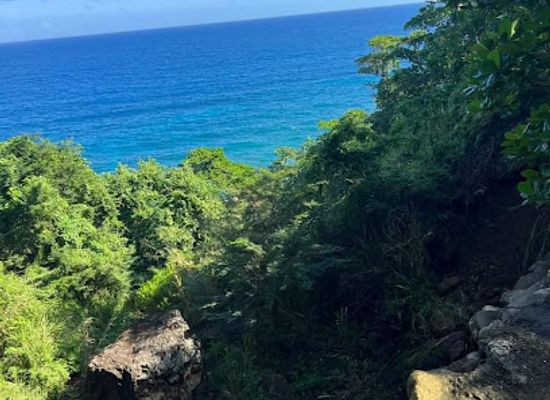 jamaica/port-maria/attraction/kwame-waterfalls