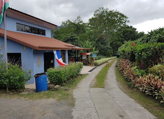 panama/western-panama/attraction/boquete-bees-and-butterflies
