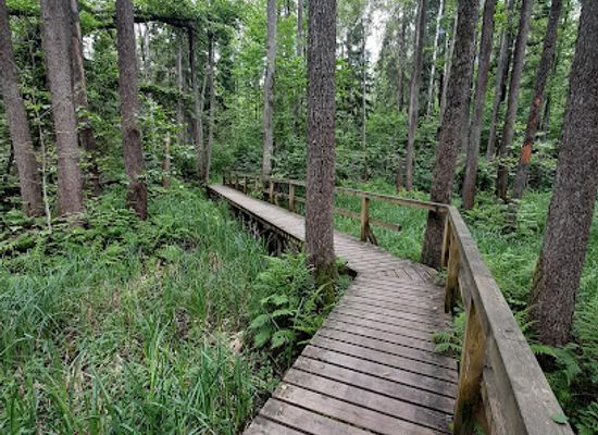 lithuania/suvalkija/attraction/buktos-gamtinis-pazintinis-takas