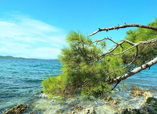 croatia/zadar/attraction/atol-sw-cirilli