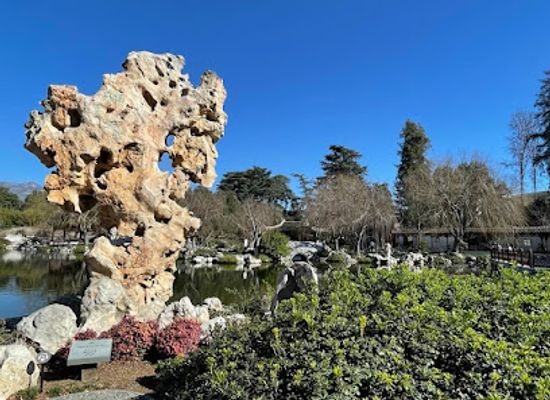 california/pasadena/attraction/the-huntington-library-art-museum-and-botanical-gardens