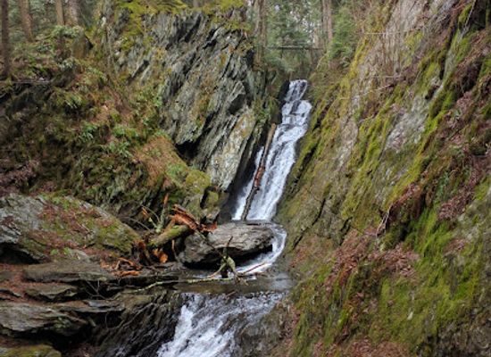 massachusetts/mount-greylock-state-reservation/attraction/savoy-mountain-state-forest