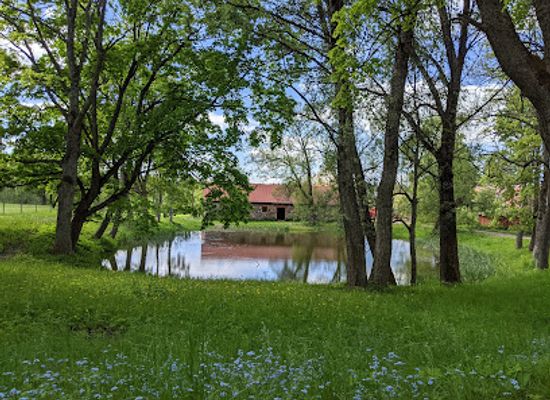 lithuania/aukstaitija-national-park/attraction/saldutiskio-dvaras