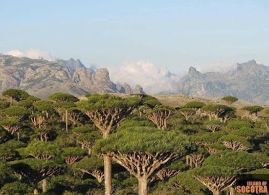 yemen/haraz-mountains/attraction/ayhaft-canyon-national-park