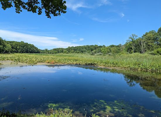 indiana/the-dunes/attraction/red-mill-county-park