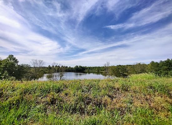 indiana/southern-indiana/attraction/patoka-river-national-wildlife-refuge-snakey-point