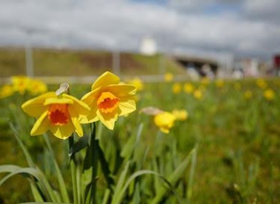 belgium/leuven/attraction/park-spoor-noord