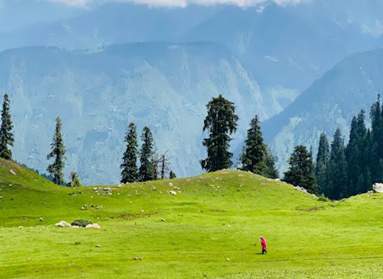 pakistan/kaghan-valley/attraction/paya-meadows