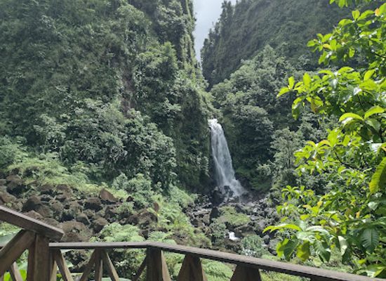 dominica/saint-peter/attraction/papillote-tropical-gardens