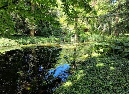 netherlands/kinderdijk/attraction/historische-tuin-schoonoord