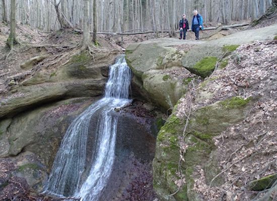 poland/beskid-niski-mountains/attraction/magurski-waterfall