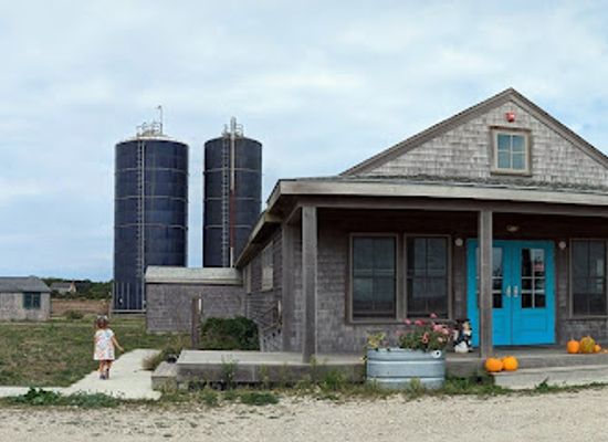 massachusetts/martha-s-vineyard/attraction/katama-farm